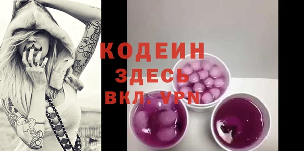 шишки Белокуриха