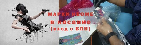 шишки Белокуриха