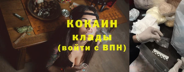 шишки Белокуриха