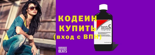 шишки Белокуриха