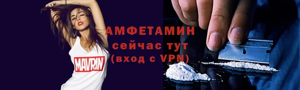 шишки Белокуриха