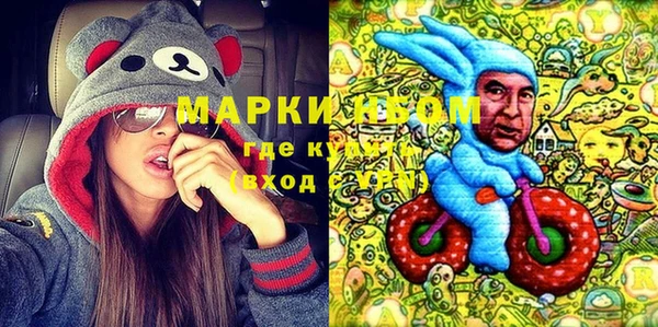 шишки Белокуриха
