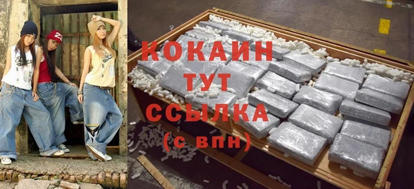 шишки Белокуриха