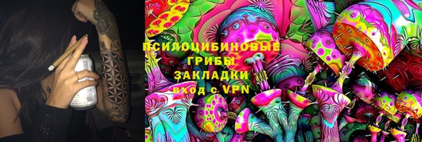 шишки Белокуриха