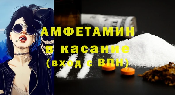 шишки Белокуриха